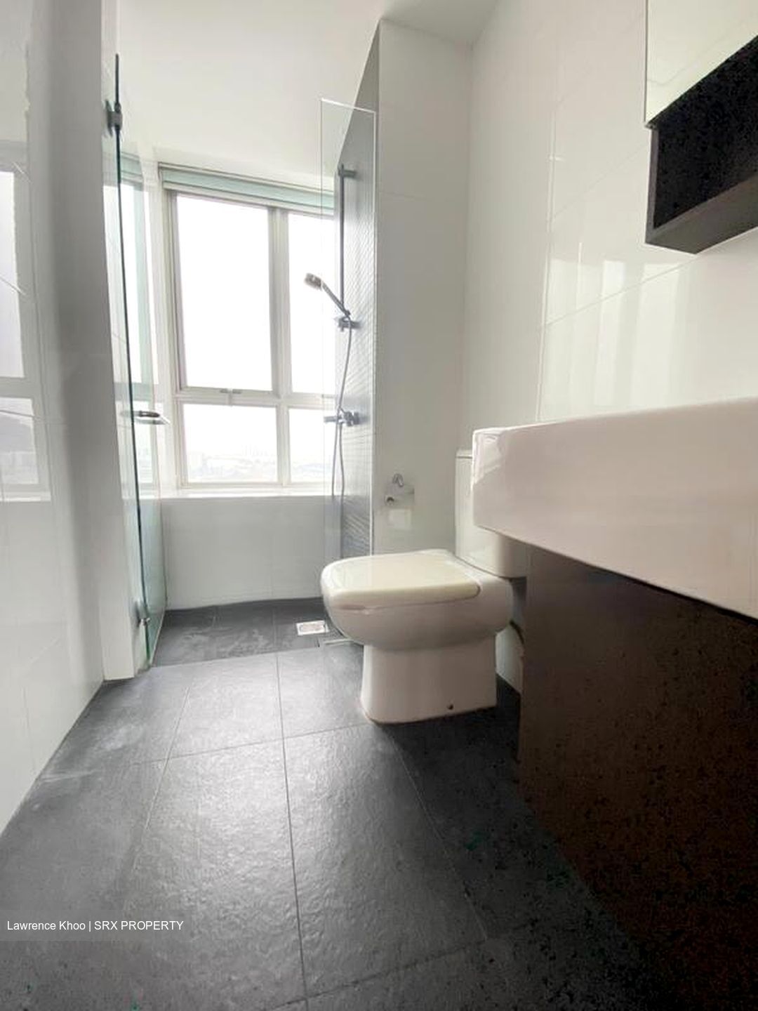 The Parc Condominium (D5), Condominium #483534171